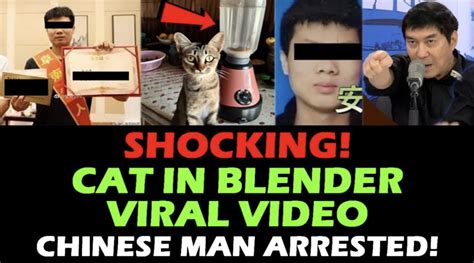 The Cat In Blender Video: A Disturbing Tale Of。